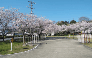 アイルモータースクール豊前