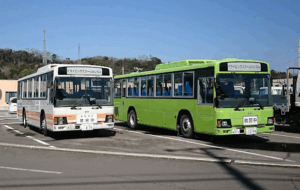 ドライビング・スクールかいなん