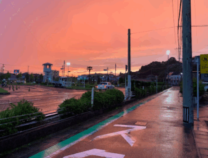 共立自動車学校・日野