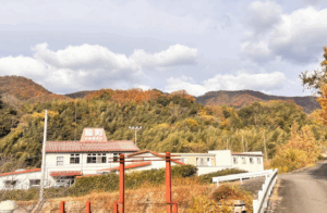 徳島わきまち自動車学校