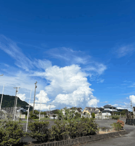 指宿中央自動車学校